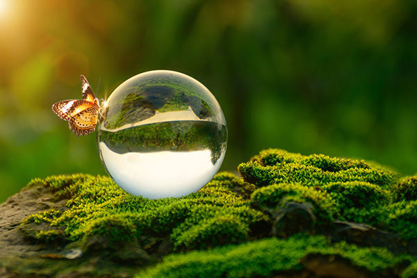 Sustainability