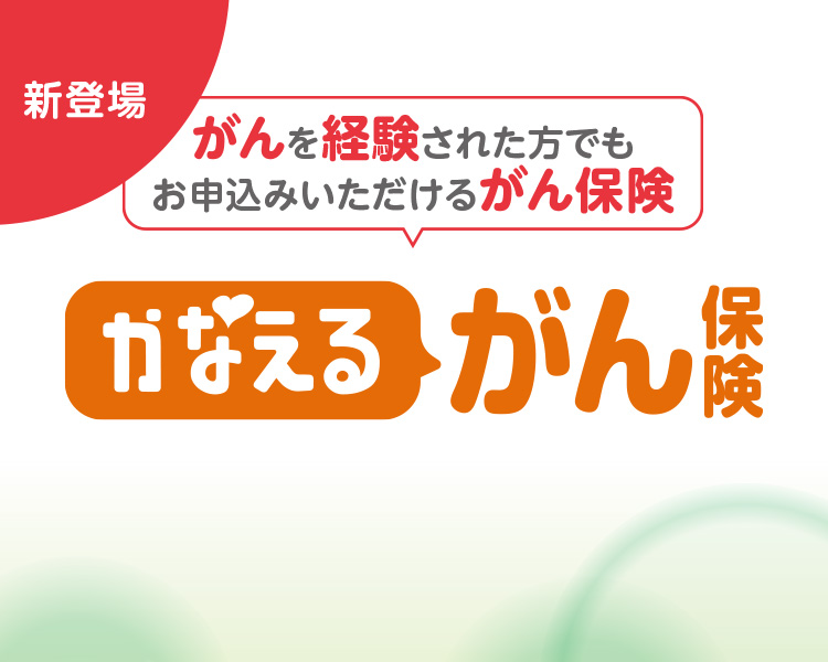 新商品のご案内