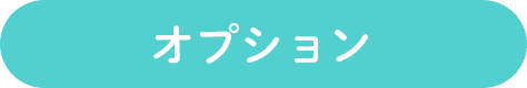 オプション