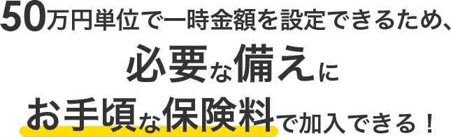 50万円単位で一時金額を設定できるため、必要な備えにお手頃な保険料で加入できる！