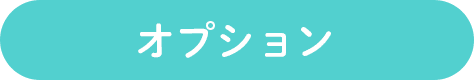 オプション