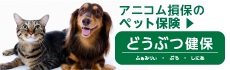 アニコム損保 ペット健保
